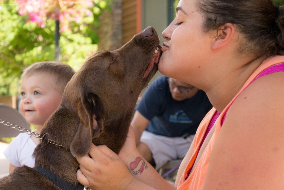 Georgia kisses Chocolate Labrador Retriever Rescue