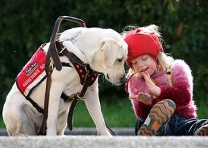 8 Types Of Service Dogs We Should Be Grateful For