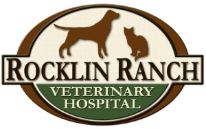 Rocklin-Ranch-Veterinary-Hospital-Northern California Labrador Rescue