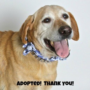 Doc 3 Adopted