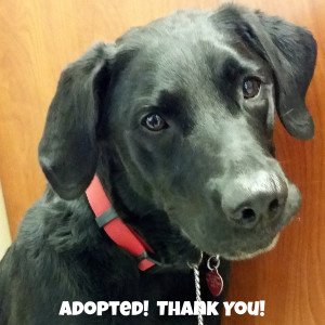 20141226 095957 Adopted