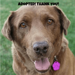 Agnes 1 Adopted