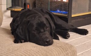 Kona Fireside