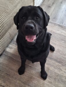 Kona Sit