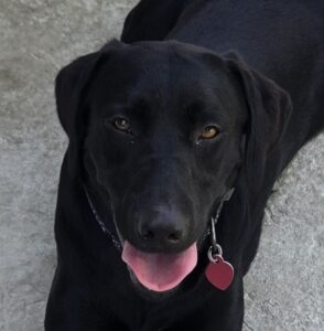 921 Nellie Face