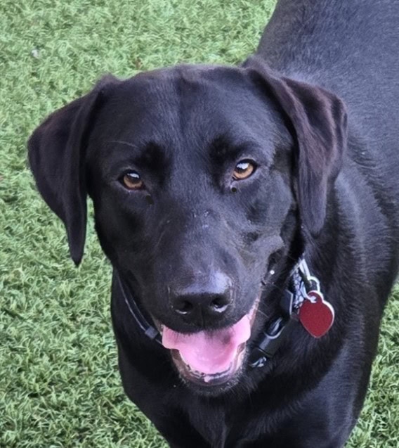 921 Nellie Face2