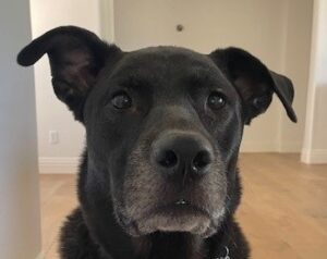 Max Face