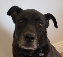 Max Face2