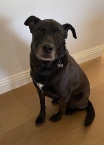 Max Sit2