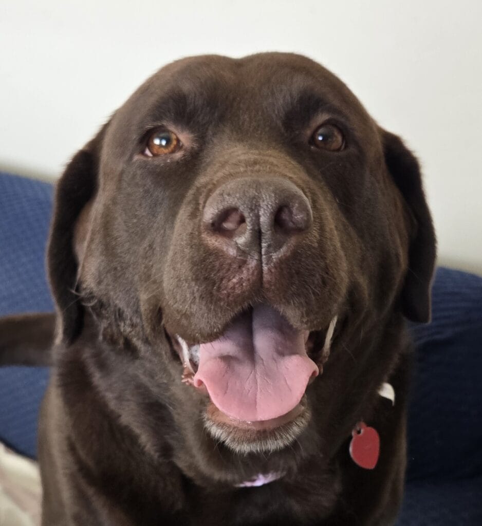 926 Marley – Coming Soon!