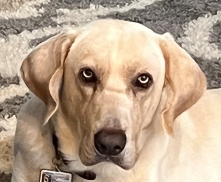 Max – Coming Soon!