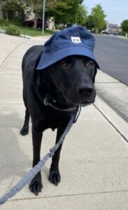 Quill Hat