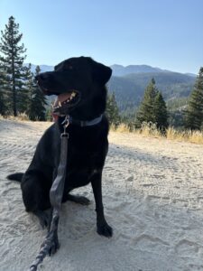 Quill Hike