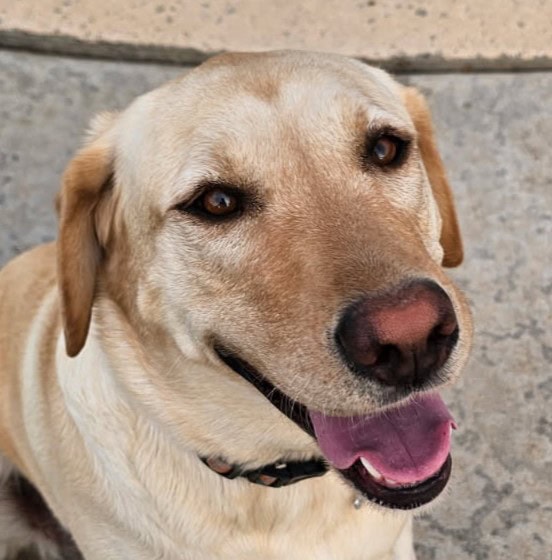 Susie – Please Let Us Know If You Are Interested!